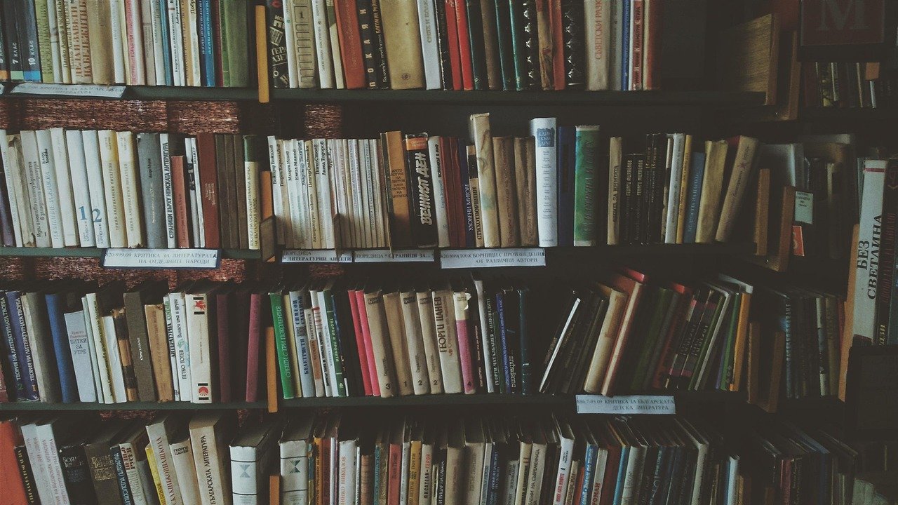our-story bookcases, books, bookshelves, knowledge, library, literature, novels, read, reading, bookworm, library, library, library, library, library